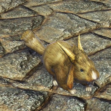 ウサギ1
