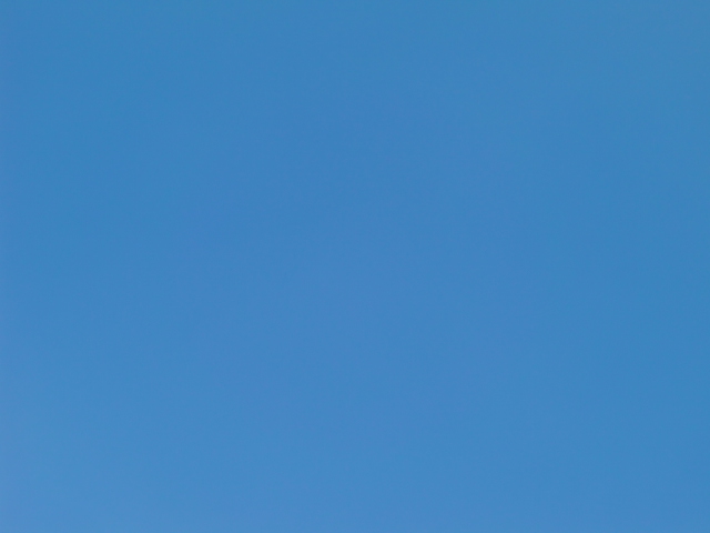 2011_0112_143543-CIMG3802.jpg