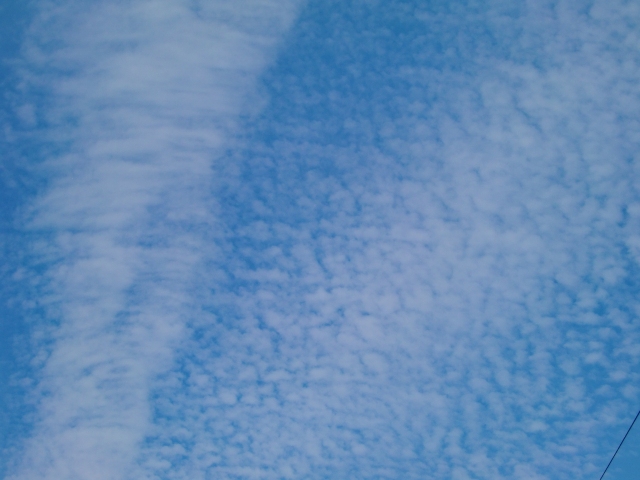 2011_1025_132115-CIMG5582.jpg