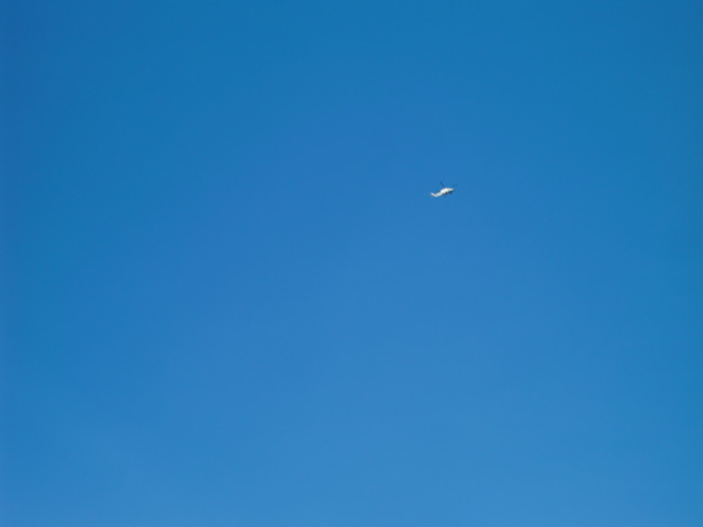 2012_0716_170959-CIMG7669.jpg