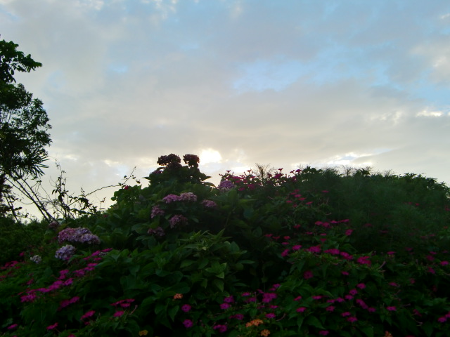2012_0716_183538-CIMG7673.jpg