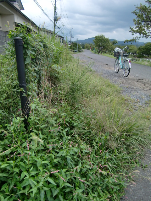 2012_0927_164225-CIMG8218.jpg