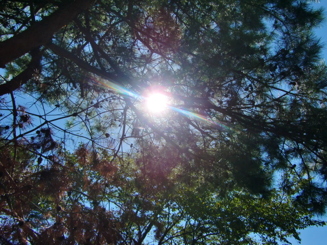 2012_1004_123415-CIMG8373.jpg