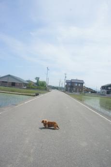 狩鹿野散歩2
