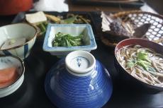山菜