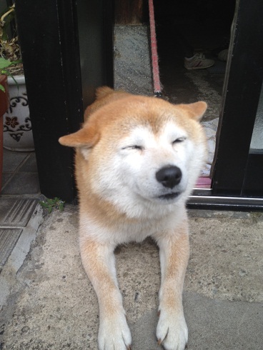 ふーちゃん