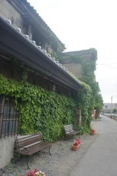 つた