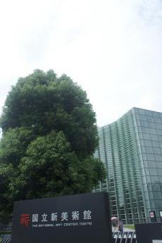 新国立