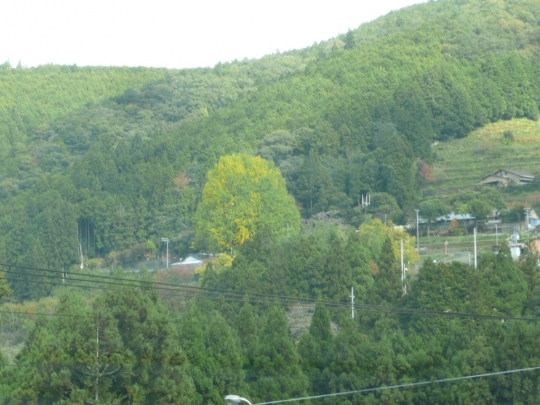 P1140893.jpg