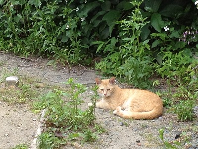 画像 019