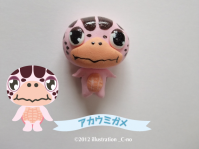 アカウミガメ1