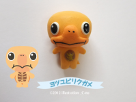 ヨツユビリクガメ1