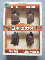 日本のカメ