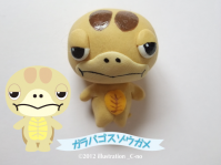 ガラパゴスゾウガメ1