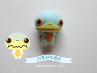 ハラガケガメ1