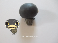 ウスグロハコヨコクビガメ2