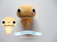 チャコリクガメ1