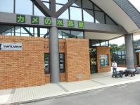 入口