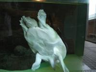 DSCF1549.jpg