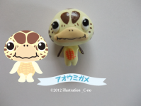 アオウミガメ1