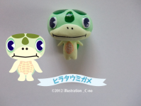 ヒラタウミガメ1