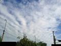 120516_072601n.jpg
