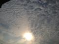 120517_063505ne.jpg