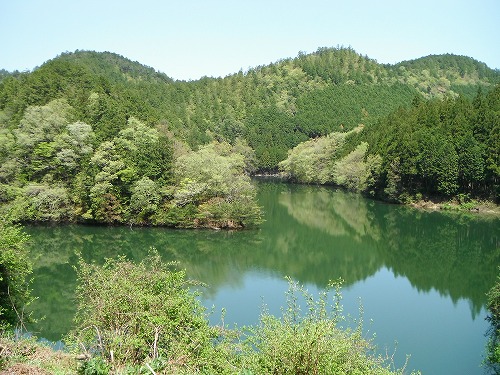 s-DSCF5169.jpg
