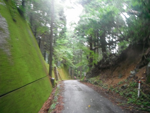 s-DSCF5563.jpg