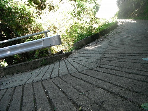 s-DSCF5695.jpg