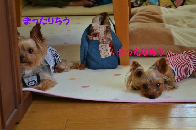 来海ちゃんありすちゃん