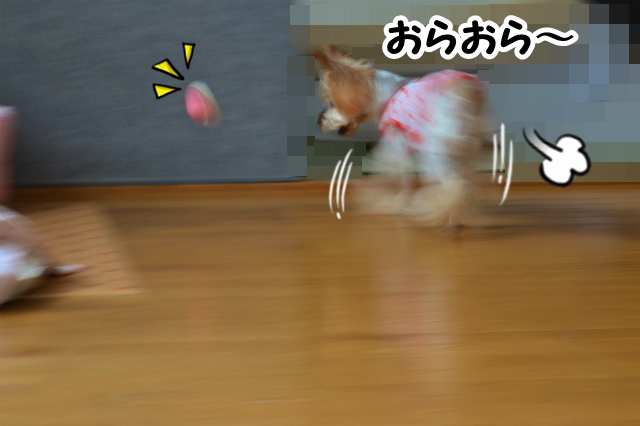 わちゃわちゃ