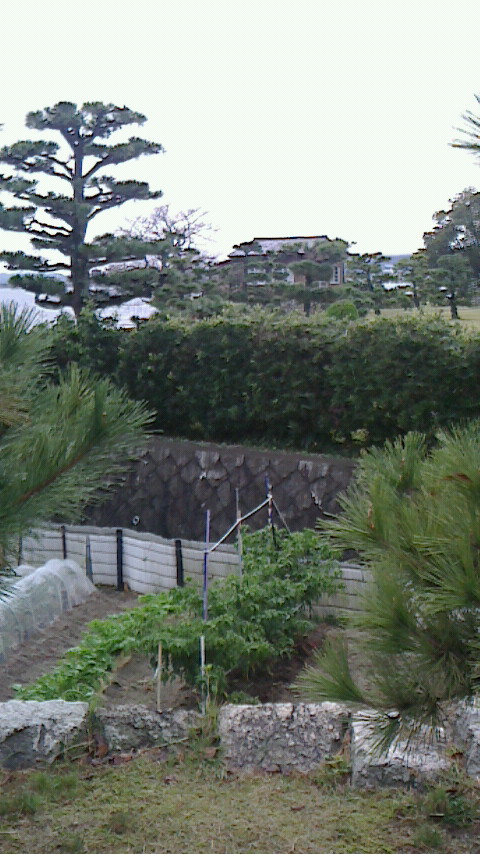 2014110116050000.jpg