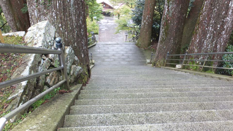 2014-1223_480.jpg