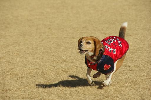 130104-10chara01.jpg