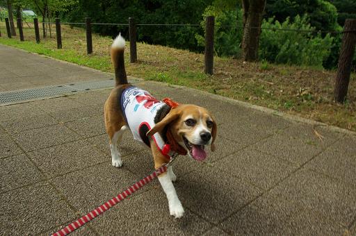 120811-17chara walk02