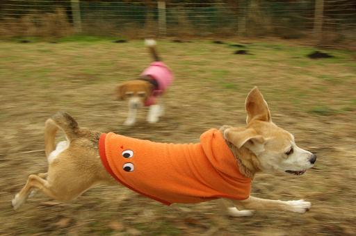 121223-44moco family04