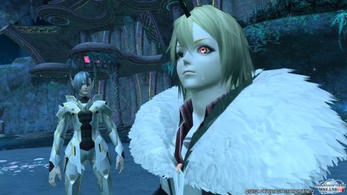 pso20140119_213714_004_convert_20140205225419.jpg