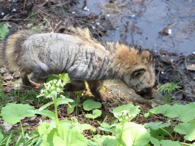 shuku-IMG_2469(トリミング)