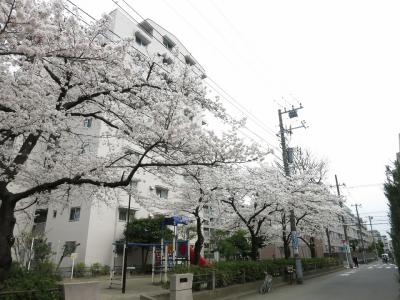 shuku-IMG_0152.jpg