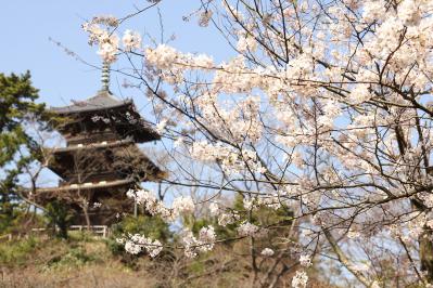 shuku-IMG_2492.jpg