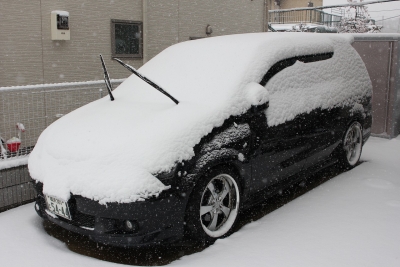 shuku-IMG_5439.jpg