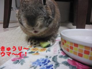 2012tan41 (2)