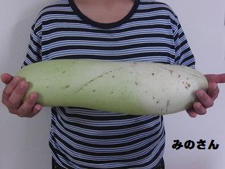 2012tan21.jpg