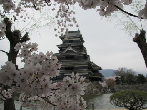 20120423 051