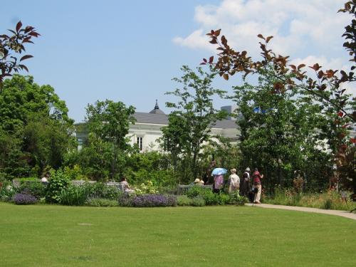 20120527 045