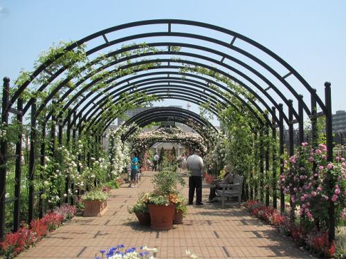 20120527 041