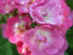 20120527 047