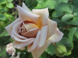 20120527 057