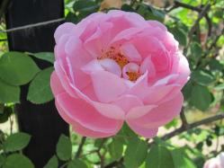 20120527 054